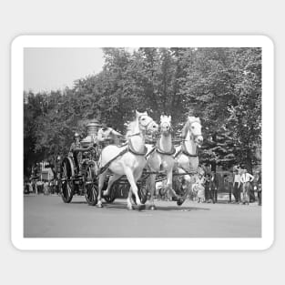 Fire Department Horses, 1925. Vintage Photo Sticker